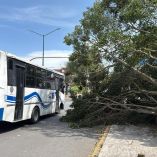 Frente Frío 41 deja afectaciones en 41 municipios de Veracruz