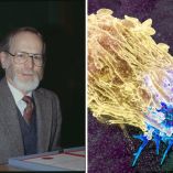 J. Michael Bishop, quien reveló el origen genético del cáncer, falleció a los 90 años