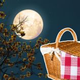 Picnic nocturno en Bosque de Chapultepec, CDMX: fechas