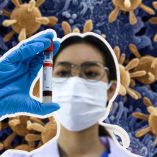 Cigarra, la nueva variante de covid ¿características  y por qué generó alerta?