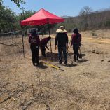 Madres buscadoras localizaron una nueva fosa clandestina en Concordia, Sinaloa.