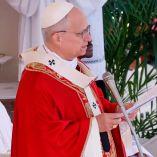 En su primer mensaje del Domingo de Ramos, el papa León XIV lanzó un firme llamamiento a la paz