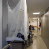 Además, se confirmaron las primeras dos muertes a consecuencia del virus, una en Veracruz y otra más en Oaxaca.