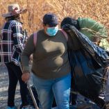 La Fiscalía General del Estado de Guerrero confirmó el hallazgo de siete cuerpos sin vida en la región Montaña del municipio de Cualác