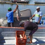 El programa apoya a las personas que se dedican a la actividad pesquera o acuícola de pequeña escala para incrementar sus niveles de producción.