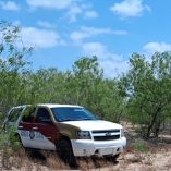 Vehículo de la Guardia Estatal en un predio con vegetación en Reynosa Tamaulipas durante diligencias por hallazgo de restos humanos