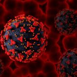 Las muestras de virus desaparecidos incluían cepas de influenza tipo A como H1N1 y H3N2.