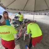 Protección Civil en Michoacán emitieron desde el pasado sábado una alerta preventiva dirigida a la población y turistas