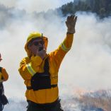 Conafor reportó 38 incendios forestales activos en 14 estados, incluyendo áreas naturales protegidas.