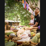 Sembrando Vida impulsa 3 mil 800 tianguis campesinos en el país