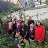 El programa piloto arrancó en la unidad habitacional de Tenorios 222, que alberga a más de tres mil habitantes.