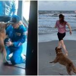 La astronauta de Artemis II mostró el recibimiento de su perro