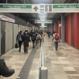 Las Líneas 3, 7, 8 y 12 del Metro CDMX presentan alta afluencia