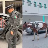 Un recorrido de vigilancia terminó con la detención de un hombre acusado de maltrato animal en la colonia Industrial Habitacional Abraham Lincoln, en Monterrey.