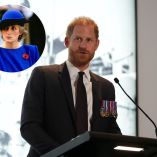 El príncipe Harry fue demandado por difamación por la ONG Sentebale, que él mismo cofundó.