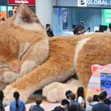 ‘Catzilla’ recibe a pasajeros en la Terminal 1 del aeropuerto de Hong Kong.