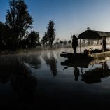 Las chinampas de Xochimilco representan una técnica agrícola ancestral y patrimonio cultural de la capital.