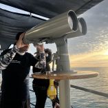Once observadores comunitarios de San Felipe participarán en un crucero de entrenamiento para monitorear la vaquita marina.