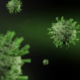 La variante “Cigarra” del COVID se expande: esto debes saber.