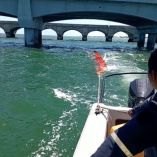 Fuga en Progreso, Yucatán