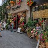 Festival de Flores CDMX