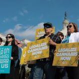 Estados Unidos reclasificó la marihuana para facilitar su uso con fines médicos, lo que abre la puerta a más investigaciones científicas sobre cannabis.