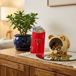 Dónde guardar tu dinero según el Feng Shui y atraer riqueza desde hoy