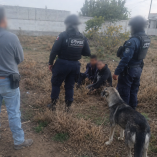 Presuntos asaltantes terminan llorando; los salvan de ser linchados