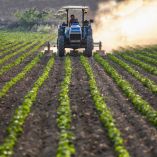 En agro se “ha pecado de pasividad”, GCMA; barreras a ganado, jitomate y fresa