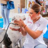 bc-promueve-bienestar-animal