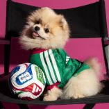 Adidas lanzó una serie de camisetas de selecciones nacionales para mascotas