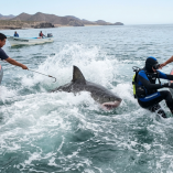 Tras el ataque, el lesionado fue trasladado de emergencia para recibir atención médica y posteriormente llevado a un hospital.