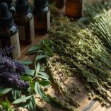 Plantas medicinales para el colesterol