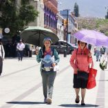 Hasta el momento, 20 estados del país han notificado casos y con 36, Jalisco encabezó la lista.