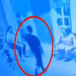 Hasta el momento no se ha reportado la detención del responsable, pese a la movilización de elementos de seguridad de los tres niveles de gobierno.