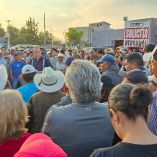 Pobladores exponen que la proliferación del insecto ha comenzado a afectar no solo a las viviendas, sino también a espacios públicos y actividades económicas de la zona.