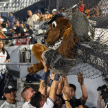 Jugadores de Sultanes, encabezados por Víctor Mendoza, ayudaron a liberar al Perro Sultán tras quedar atorado en la malla del dugout.