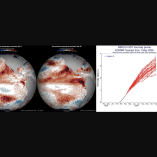 Mapas del Pacífico y gráfica del ECMWF muestran anomalías de temperatura superficial y proyección del fenómeno El Niño hacia finales de 2026.
