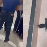 Un adolescente de 13 años fue detenido tras abrir fuego dentro de una escuela en Rio Branco, Brasil.