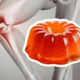 Gelatina de Wharton: Qué es y cómo regenera tus articulaciones