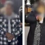 Detenidos
