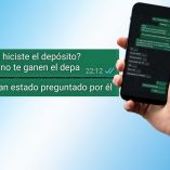 Una persona se comunica vía WhatsApp con un defraudador inmobiliario.