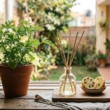 Aromatizante casero para ahuyentar mosquitos