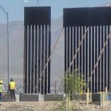 En la Sierra de Juárez, el impacto ambiental por el cierre de corredores biológicos amenaza con extinguir rutas migratorias milenarias de flora y fauna.