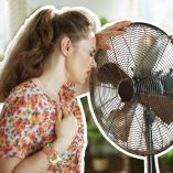 ¿Cómo acomodar los ventiladores para enfriar tu casa y reducir el calor?