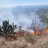 Hidalgo acumula cerca de 120 incendios forestales, los cuales han provocado daños en aproximadamente tres mil hectáreas