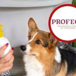 Veterinarios advierten que los shampoos humanos pueden irritar la piel canina.