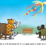 Cartoon Solís 21 de Mayo del 2026.
