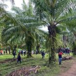 Un ataque armado en una finca de palma africana en Colón, Honduras, dejó al menos 14 muertos, en una región marcada por conflictos agrarios.