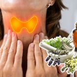 Plantas medicinales para la tiroides